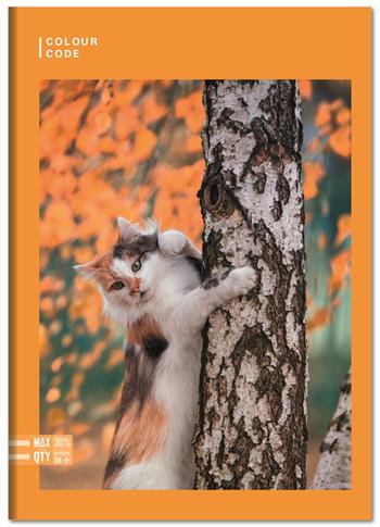 Quaderno A4 Maxi 96/100 Colour Code Animal Snapshot, 1 Rigo - 21 x 30 cm  Colour Code 2023 | Libraccio.it