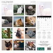 Calendario da muro Cats Allaluna - 30 x 30 cm