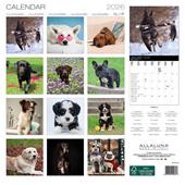 Calendario da muro Dogs Allaluna - 30 x 30 cm