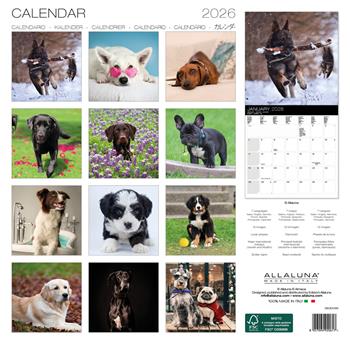 Calendario da muro Dogs Allaluna - 30 x 30 cm  Allaluna 2025 | Libraccio.it