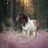 Calendario da muro Horses Allaluna - 30 x 30 cm