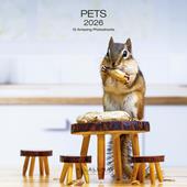Calendario da muro Pets Allaluna - 30 x 30 cm