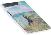 Cover book Custodia Haltadefinizione passeggiata