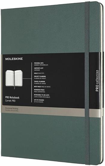 Taccuino Pro Moleskine XL copertina rigida verde. Forest Green  Moleskine 2019 | Libraccio.it