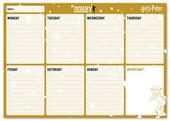 Bloc Planner Harry Potter settimanale A4 Dobby