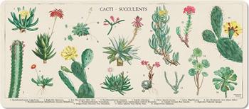 Tappetino Mouse Xl Botanical Cacti  Kokonote 2024 | Libraccio.it