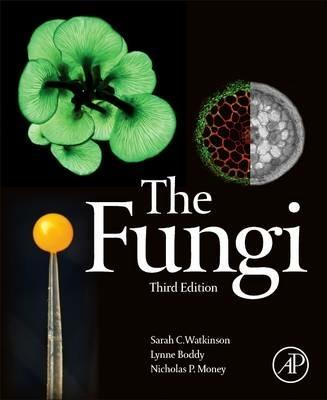 The Fungi - Sarah C. Watkinson, Lynne Boddy, Nicholas Money - Libro Elsevier Science Publishing Co Inc | Libraccio.it
