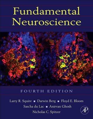 Fundamental Neuroscience  - Libro Elsevier Science Publishing Co Inc | Libraccio.it