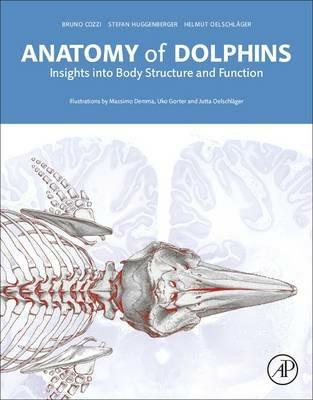 Anatomy of Dolphins - Bruno Cozzi, Stefan Huggenberger, Helmut A Oelschläger - Libro Elsevier Science Publishing Co Inc | Libraccio.it