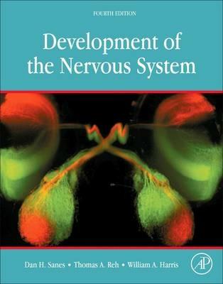 Development of the Nervous System - Dan H. Sanes, Thomas A. Reh, William A. Harris - Libro Elsevier Science Publishing Co Inc | Libraccio.it