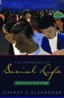 The Meanings of Social Life - Jeffrey C. Alexander - Libro Oxford University Press Inc | Libraccio.it