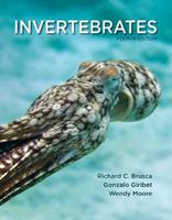 Invertebrates - Richard C. Brusca, Gonzalo Giribet, Wendy Moore - Libro Oxford University Press Inc | Libraccio.it