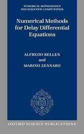 Numerical Methods for Delay Differential Equations