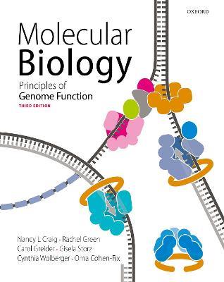 Molecular Biology - Nancy Craig, Rachel Green, Carol Greider - Libro Oxford University Press | Libraccio.it
