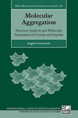Molecular Aggregation - Angelo Gavezzotti - Libro Oxford University Press, International Union of Crystallography Monographs on Crystallography | Libraccio.it