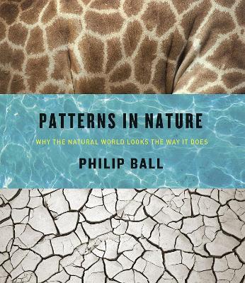 Patterns in Nature - Philip Ball - Libro The University of Chicago Press | Libraccio.it
