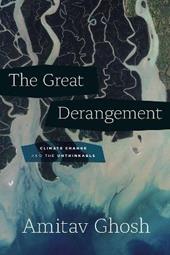 The Great Derangement