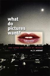 What Do Pictures Want?