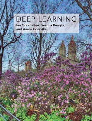 Deep Learning - Ian Goodfellow, Yoshua Bengio, Aaron Courville - Libro MIT Press Ltd, Deep Learning | Libraccio.it