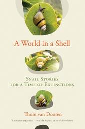 A World in a Shell