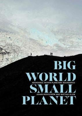 Big World, Small Planet - Johan Rockström, Mattias Klum - Libro Yale University Press | Libraccio.it