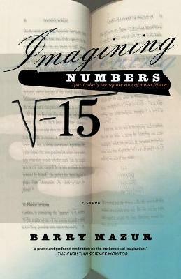 Imagining Numbers - Barry Mazur - Libro Picador USA | Libraccio.it