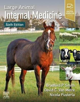 Large Animal Internal Medicine  - Libro Elsevier - Health Sciences Division | Libraccio.it