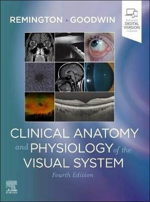 Clinical Anatomy and Physiology of the Visual System - Lee Ann Remington, Denise Goodwin - Libro Elsevier - Health Sciences Division | Libraccio.it