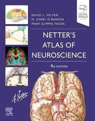 Netter's Atlas of Neuroscience - David L. Felten, Michael K. O'Banion, Mary Summo Maida - Libro Elsevier - Health Sciences Division, Netter Basic Science | Libraccio.it