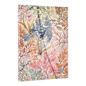 Agenda Paperblanks, 2026 Anemone 12 mesi Midi, VSO  Paperblanks 2025 | Libraccio.it