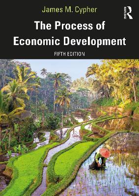The Process of Economic Development - James M. Cypher - Libro Taylor & Francis Ltd | Libraccio.it