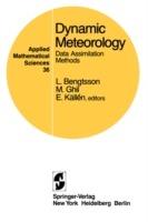 Dynamic Meteorology: Data Assimilation Methods  - Libro Springer-Verlag New York Inc., Applied Mathematical Sciences | Libraccio.it