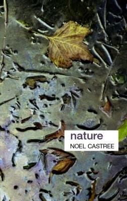 Nature - Noel Castree - Libro Taylor & Francis Ltd, Key Ideas in Geography | Libraccio.it