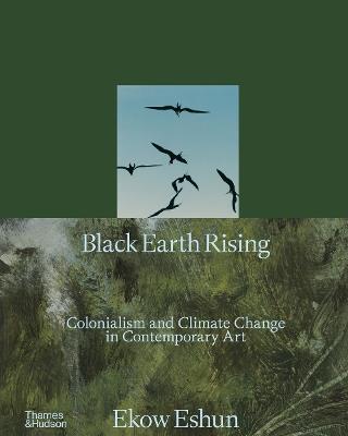 Black Earth Rising - Ekow Eshun - Libro Thames & Hudson Ltd | Libraccio.it