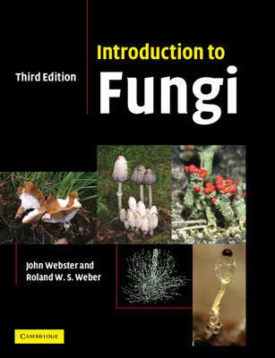 Introduction to Fungi - John Webster, Roland Weber - Libro Cambridge University Press | Libraccio.it