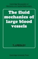 The Fluid Mechanics of Large Blood Vessels