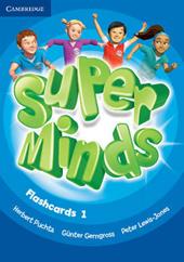 Super minds. Level 1. Flashcards (pack of 103).