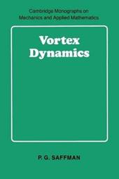 Vortex Dynamics