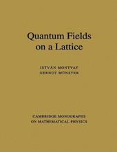 Quantum Fields on a Lattice