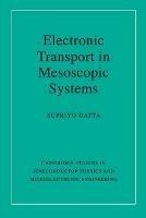 Electronic Transport in Mesoscopic Systems - Supriyo Datta - Libro Cambridge University Press, Cambridge Studies in Semiconductor Physics and Microelectronic Engineering | Libraccio.it