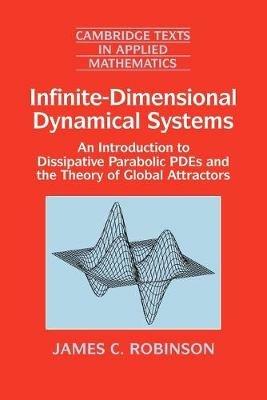 Infinite-Dimensional Dynamical Systems - James C. Robinson - Libro Cambridge University Press, Cambridge Texts in Applied Mathematics | Libraccio.it