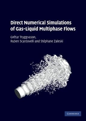Direct Numerical Simulations of Gas–Liquid Multiphase Flows - Grétar Tryggvason, Ruben Scardovelli, Stéphane Zaleski - Libro Cambridge University Press | Libraccio.it