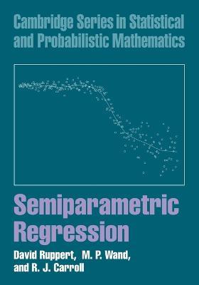 Semiparametric Regression - David Ruppert, M. P. Wand, R. J. Carroll - Libro Cambridge University Press, Cambridge Series in Statistical and Probabilistic Mathematics | Libraccio.it