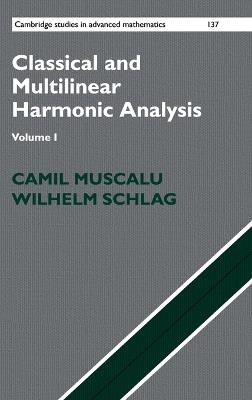 Classical and Multilinear Harmonic Analysis - Camil Muscalu, Wilhelm Schlag - Libro Cambridge University Press, Cambridge Studies in Advanced Mathematics | Libraccio.it