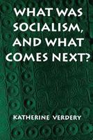 What Was Socialism, and What Comes Next? - Katherine Verdery - Libro Princeton University Press, Princeton Studies in Culture/Power/History | Libraccio.it