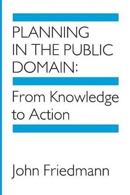 Planning in the Public Domain - John Friedmann - Libro Princeton University Press | Libraccio.it
