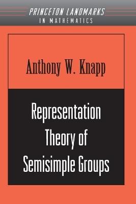 Representation Theory of Semisimple Groups - Anthony W. Knapp - Libro Princeton University Press, Princeton Mathematical Series | Libraccio.it
