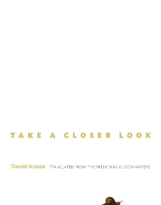 Take a Closer Look - Daniel Arasse - Libro Princeton University Press | Libraccio.it