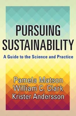 Pursuing Sustainability - Pamela Matson, William C. Clark, Krister Par Andersson - Libro Princeton University Press | Libraccio.it