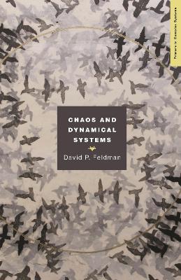 Chaos and Dynamical Systems - David P. Feldman - Libro Princeton University Press, Primers in Complex Systems | Libraccio.it